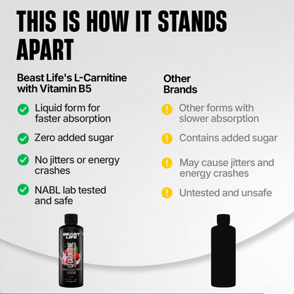 L-Carnitine with Vitamin B5 3300 mg | Triple Strength Formula | Litchi | 450 ml
