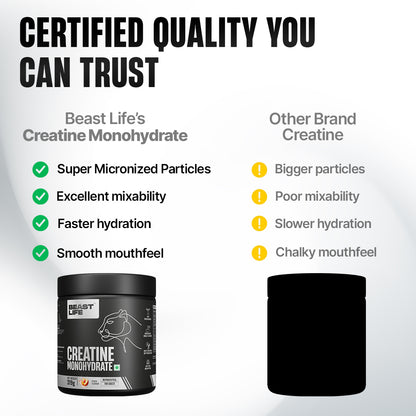 Creatine Monohydrate | Peach | 319 g