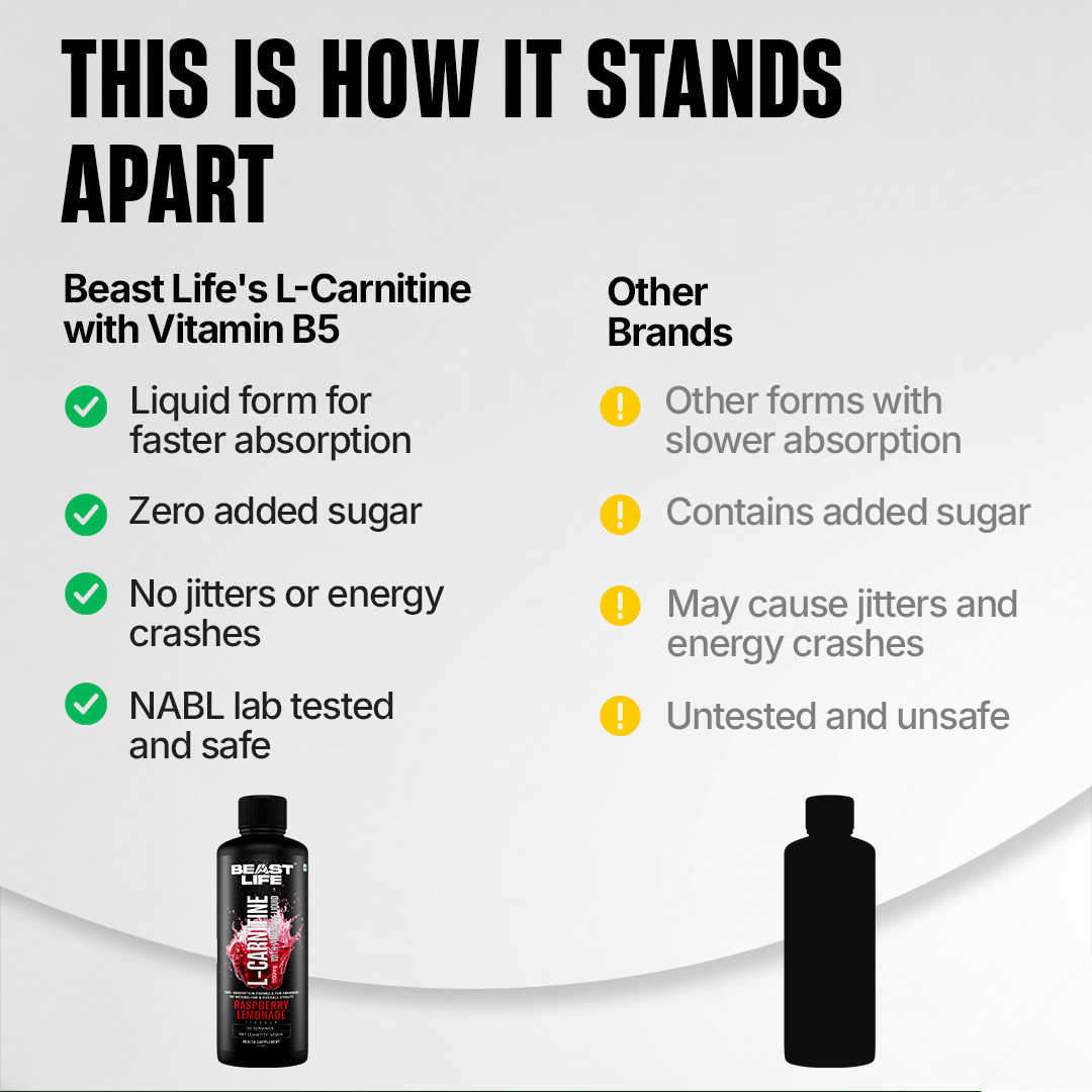 L-Carnitine with Vitamin B5 Liquid 1100 mg | Raspberry Lemonade | 450 ml