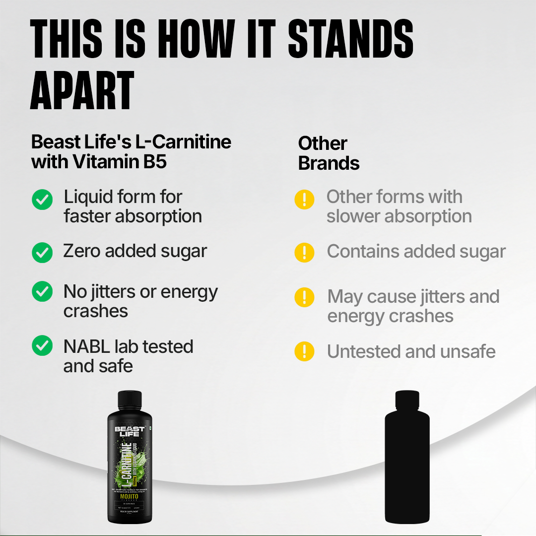 L-Carnitine with Vitamin B5 Liquid 1100 mg | Mojito | 450 ml