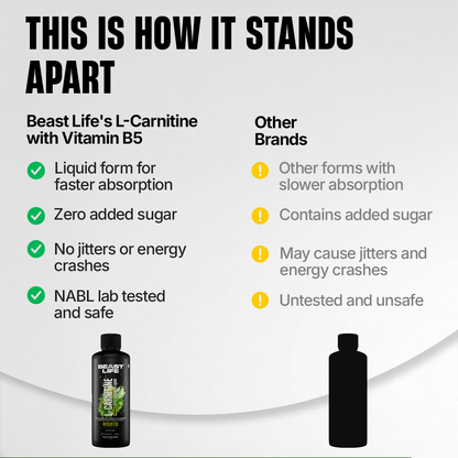 L-Carnitine with Vitamin B5 Liquid 1100 mg | Mojito | 450 ml