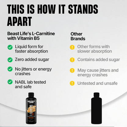 L-Carnitine with Vitamin B5 3300 mg | Triple Strength Formula | Orange | 450 ml