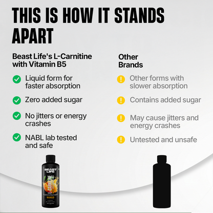 L-Carnitine with Vitamin B5 3300 mg | Triple Strength Formula | Mango | 450 ml