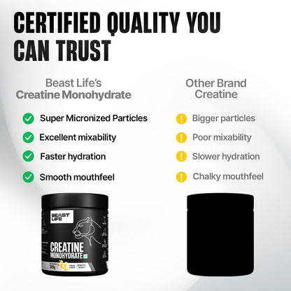 Creatine Monohydrate | Shikanji | 319 g
