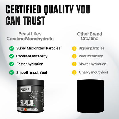 Creatine Monohydrate | Watermelon | 319 g