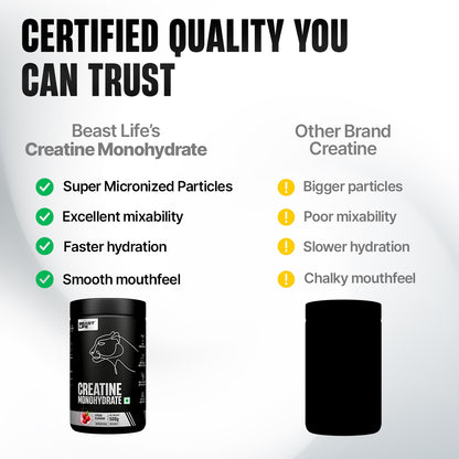 Creatine Monohydrate | Litchi | 500 g