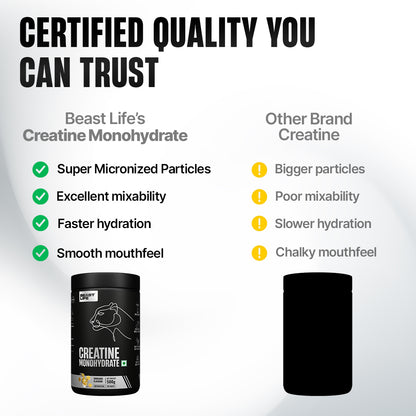 Creatine Monohydrate | Shikanji | 500 g