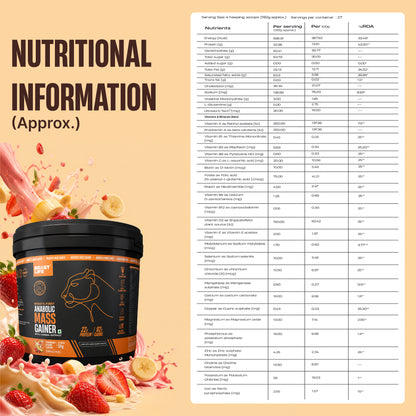 Anabolic Mass Gainer with Ultrasorb Tech | No Maltodextrin | Strawberry Banana | 5 kg