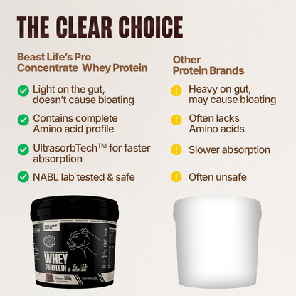 Pro Concentrate Whey Protein with Ultrasorb Tech | Rich Chocolate | Free Gym Bag and Shaker | 3.696 kg