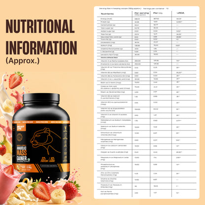 Anabolic Mass Gainer with Ultrasorb Tech | No Maltodextrin | Strawberry Banana | 2.5 kg
