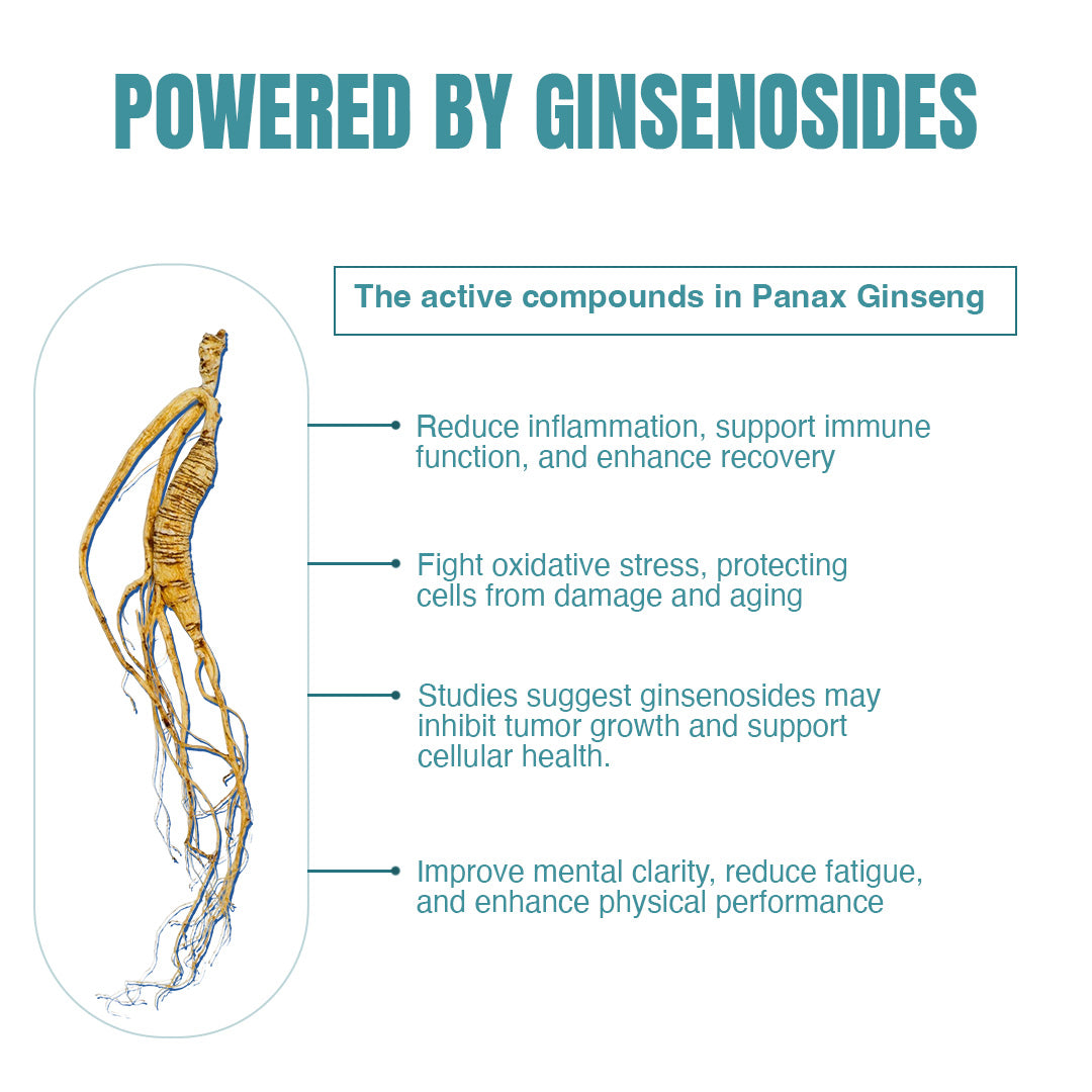 Beastlife Multivitamins with Sustained Release Technology | 90Days