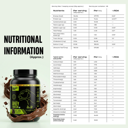 Isorich Blend Whey Protein with Ultrasorb Tech | Chocolate | 924 g