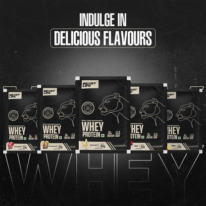 PRO CONCENTRATE WHEY PROTEIN ASSORTED PACK OF 5 (163.4g)