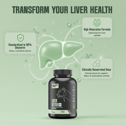 Liver Detox Supplement with Milk Thistle Extract 500mg | Added Multivitamins & Amino Acid with Natural Detoxification Formula | Liver Support Supplement (30 Veg Tablets)