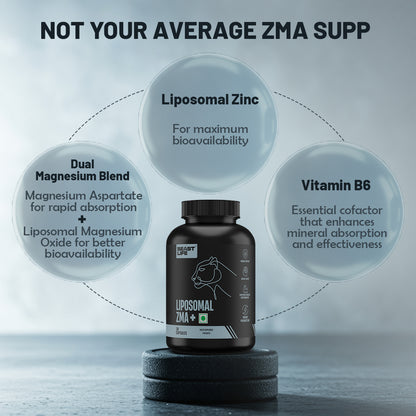 Liposomal ZMA+ | Zinc, Magnesium Complex with Vitamin B6 30N