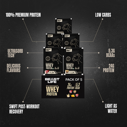 PRO CONCENTRATE WHEY PROTEIN ASSORTED PACK OF 5 (163.4g)