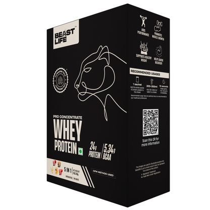 PRO CONCENTRATE WHEY PROTEIN ASSORTED PACK OF 5 (163.4g)