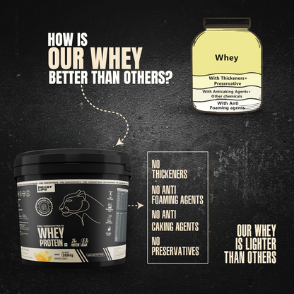 Pro Concentrate Whey Protein with Ultrasorb Tech | 3696gm | Mango