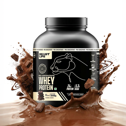 Combo pack | Creatine Nano 400 | Shikanji | 305 g + Pro concentrate whey protein | Rich chocolate | 1.848 kg