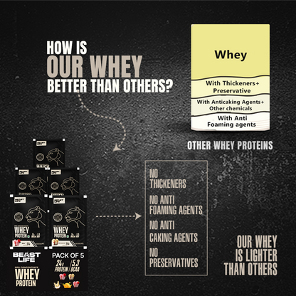 PRO CONCENTRATE WHEY PROTEIN ASSORTED PACK OF 5 (163.4g)