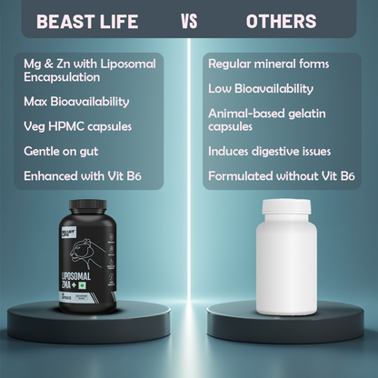 Liposomal ZMA+ | Zinc, Magnesium Complex with Vitamin B6 60N