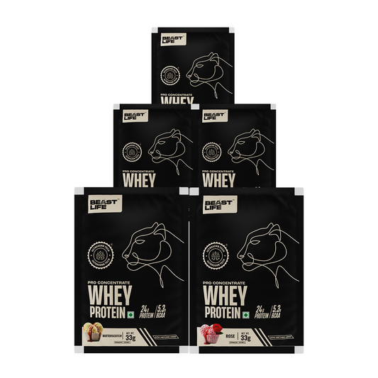 PRO CONCENTRATE WHEY PROTEIN ASSORTED PACK OF 5 (163.4g)