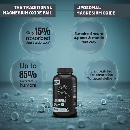 Liposomal ZMA+ | Zinc, Magnesium Complex with Vitamin B6 60N