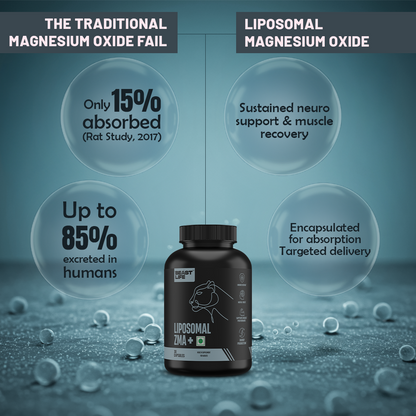 Liposomal ZMA+ | Zinc, Magnesium Complex with Vitamin B6 30N