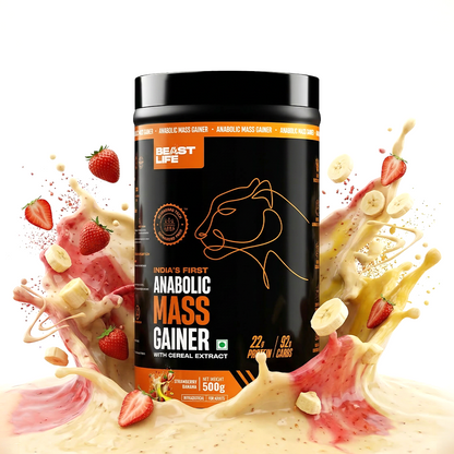 Anabolic Mass Gainer with Ultrasorb Tech | No Maltodextrin | Strawberry Banana | 500 g