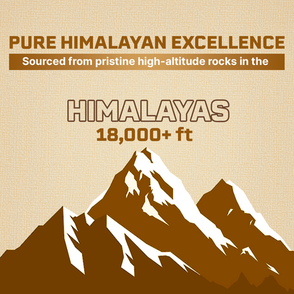 HIMALAYAN SHILAJIT+ CAPSULES 90 Days