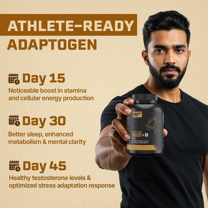 HIMALAYAN SHILAJIT+ CAPSULES 90 Days