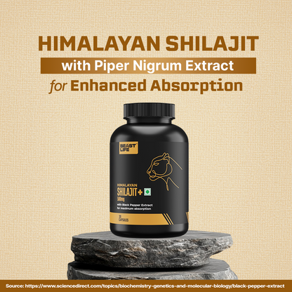 HIMALAYAN SHILAJIT+ CAPSULES 90 Days