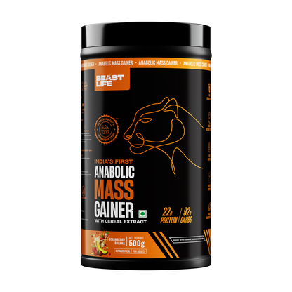 Anabolic Mass Gainer with Ultrasorb Tech (No Maltodextrin) Strawberry Banana | 500g
