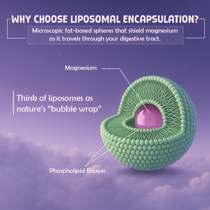 Liposomal Triple Magnesium+ (45 Days)