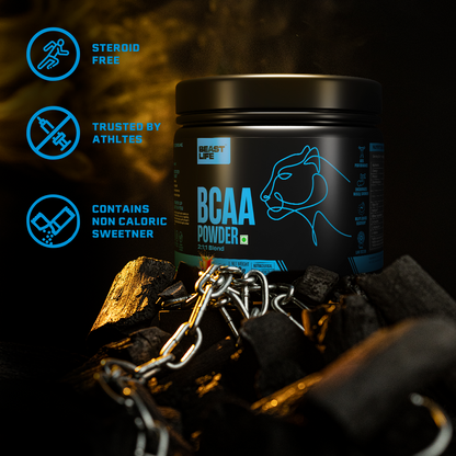 Beast Recovery BCAA | Fruit Punch | 120G