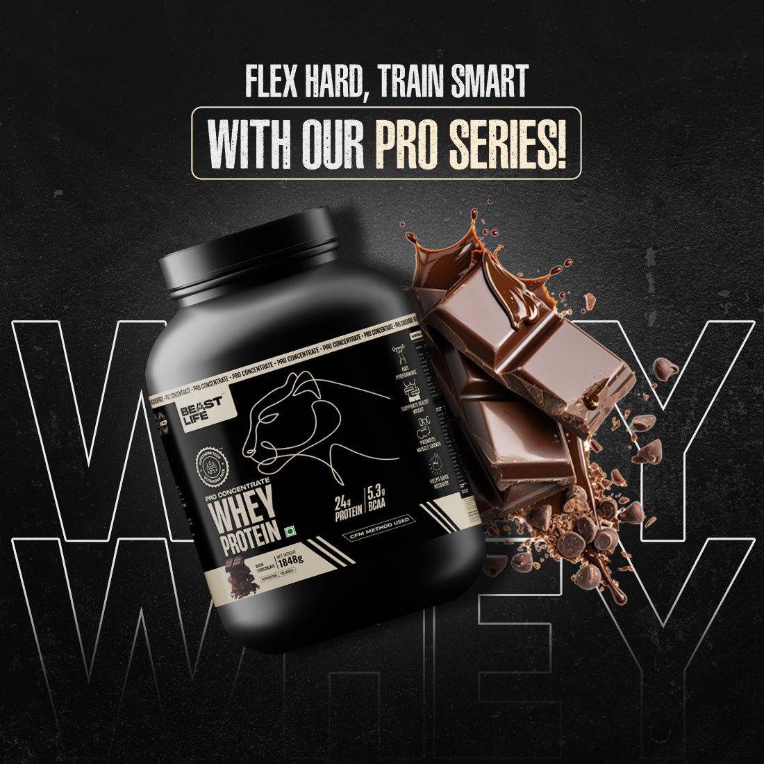 Pro Concentrate Whey Protein with Ultrasorb Tech | 1848gm | Rich Chocolate