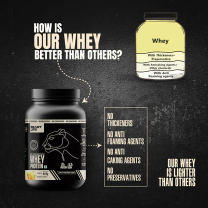 Pro Concentrate Whey Protein with Ultrasorb Tech | 924gm | Mango