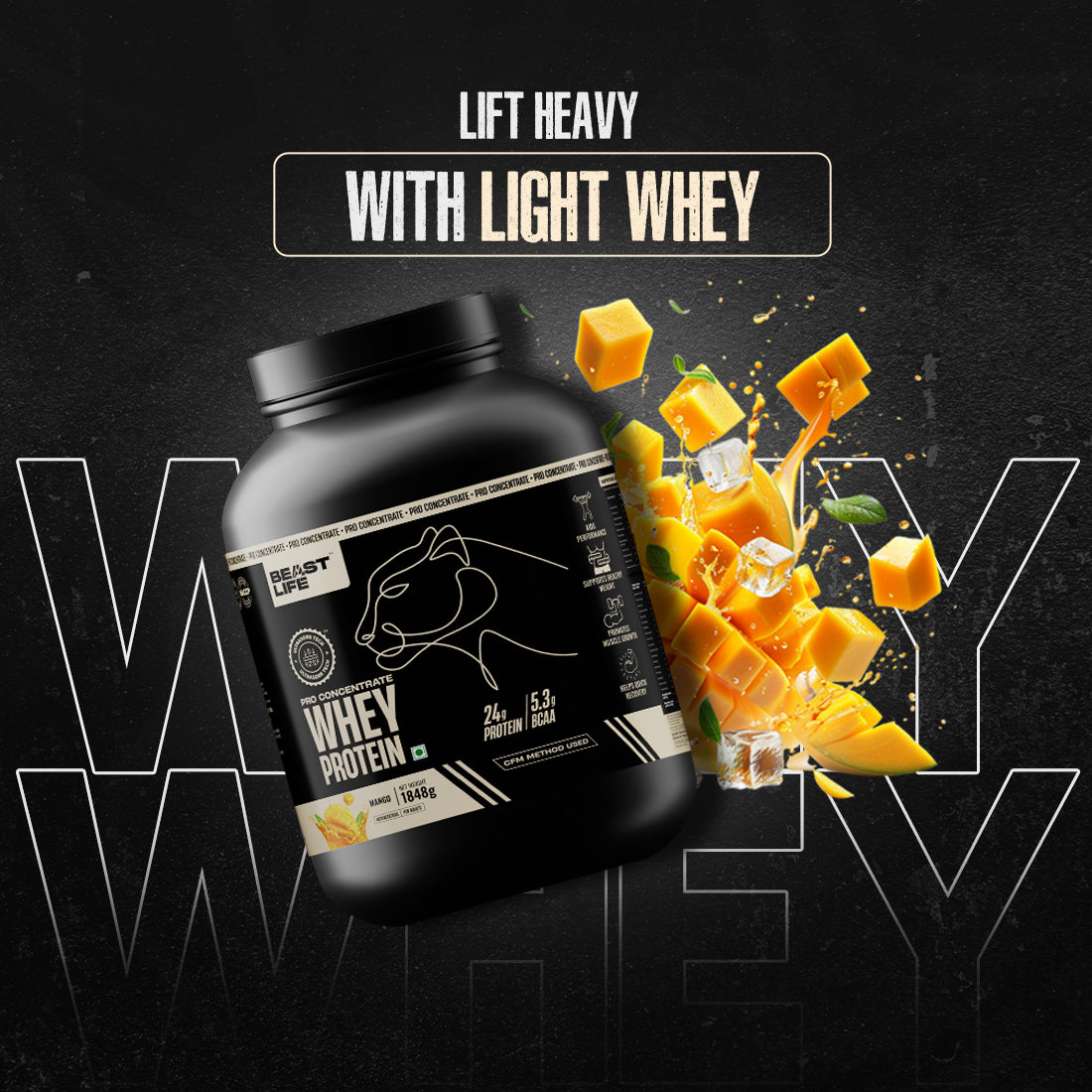 Pro Concentrate Whey Protein with Ultrasorb Tech | 1848gm | Mango