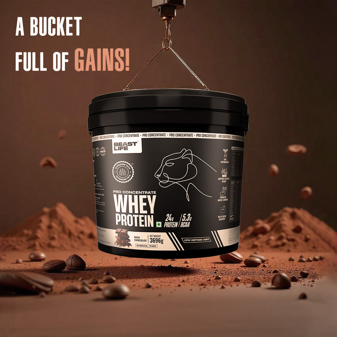 Pro Concentrate Whey Protein Rich Chocolate (3696g) | Free Gym Bag and Shaker