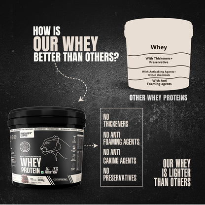 Pro Concentrate Whey Protein Rich Chocolate (3696g) | Free Gym Bag and Shaker