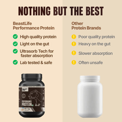 Performance Fermented Yeast Protein with Ultrasorb Tech | Birthday Cake | 1 kg