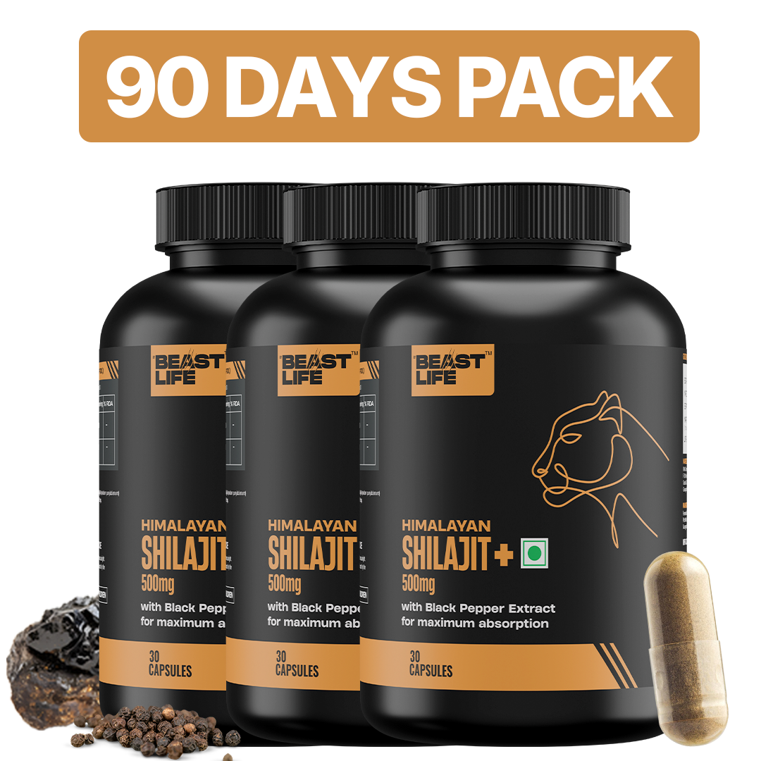 HIMALAYAN SHILAJIT+ CAPSULES 90 Days
