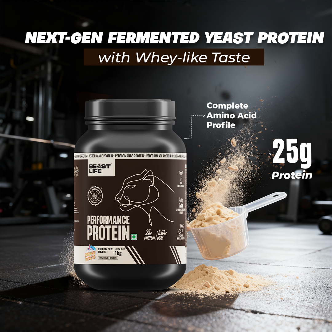 Performance Fermented Yeast Protein with Ultrasorb Tech | Birthday Cake | 1 kg