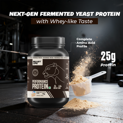 Performance Fermented Yeast Protein with Ultrasorb Tech | Birthday Cake | 1 kg
