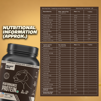 Performance Fermented Yeast Protein with Ultrasorb Tech | Birthday Cake | 1 kg
