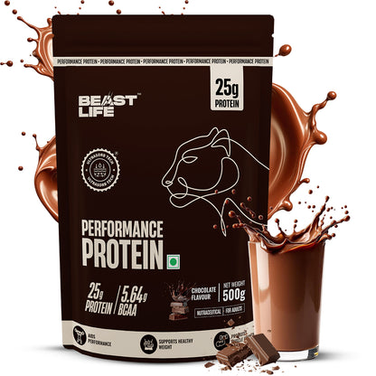 Performance Fermented Yeast Protein with Ultrasorb Tech | 500g | Chocolate