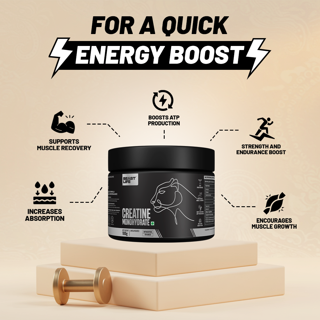 The Beast Box - 300g Pro Concentrate Whey Protein Rich Chocolate, Creatine Monohydrate Unflavoured 100g , Gym Bag, Shaker 750ml