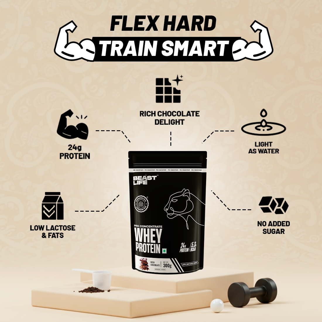 The Beast Box - 300g Pro Concentrate Whey Protein Rich Chocolate, Creatine Monohydrate Unflavoured 100g , Gym Bag, Shaker 750ml