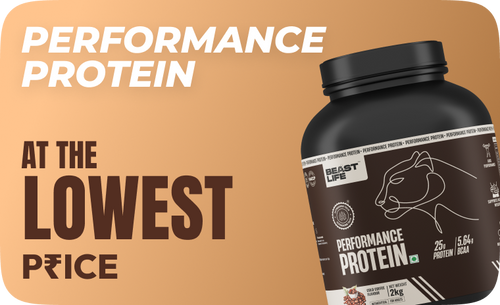 Performance_Protein.png