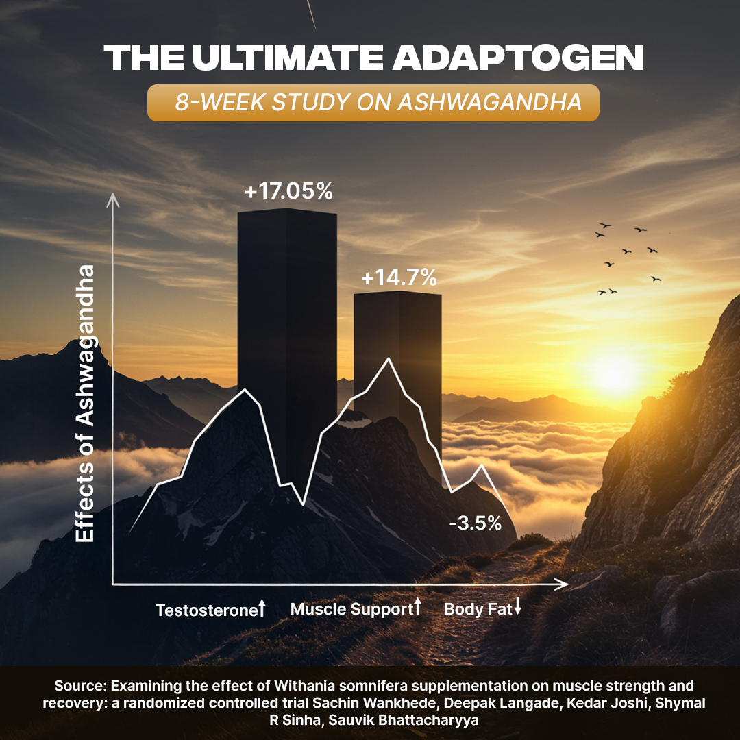 TESTO BOOSTER+ CAPSULES | 90 Days